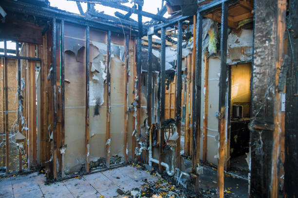 Professional Fire Damage Removal technician working in Gering, NE